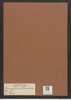 Grammatophora islandica Ehr. (de-Toni-Nr.: Genus 93, Species 3042) Zeichnungen Sammlung Grunow Mappe 03229 (Herbarium_W_Grunow_drawings_Folder_03229)